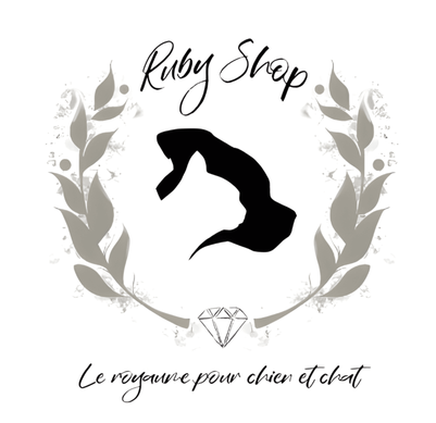 logo-RubyShop